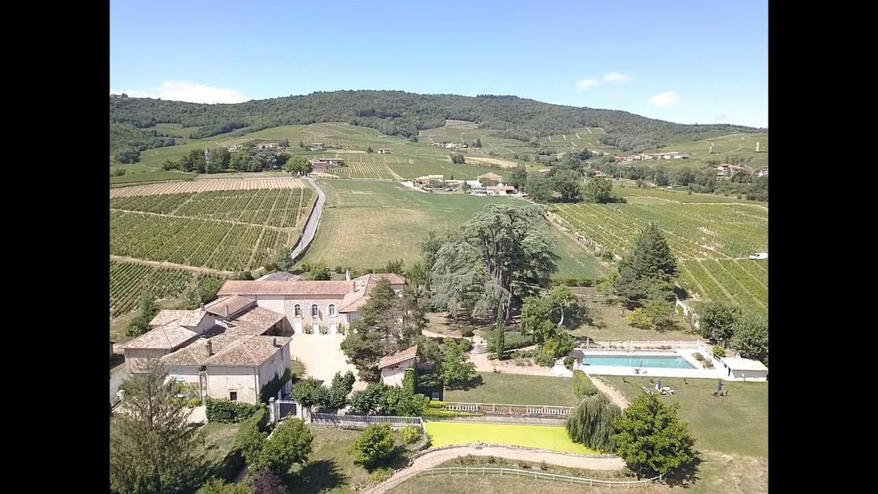 Domaine De La Baisse Villa Saint-Etienne-la-Varenne Екстериор снимка